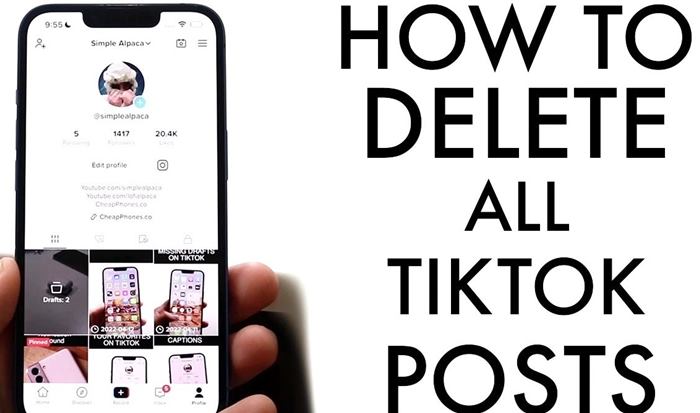 How to mass Delete Tiktok videos? All Things You Need To Know