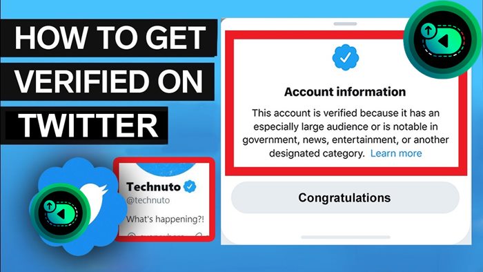 How to Get Verified on Twitter
