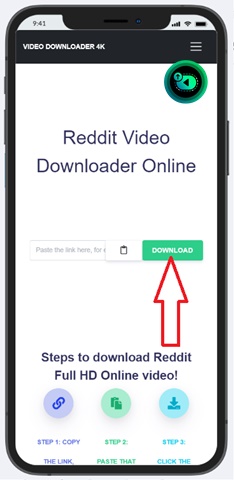 Click the download button to get the Reddit MP4 link