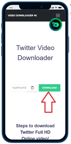 Click the download button to get the Twitter MP4 link